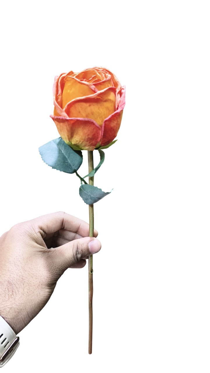 Artificial Dry Rose Flower Sticks (Orange) (Without Pot)