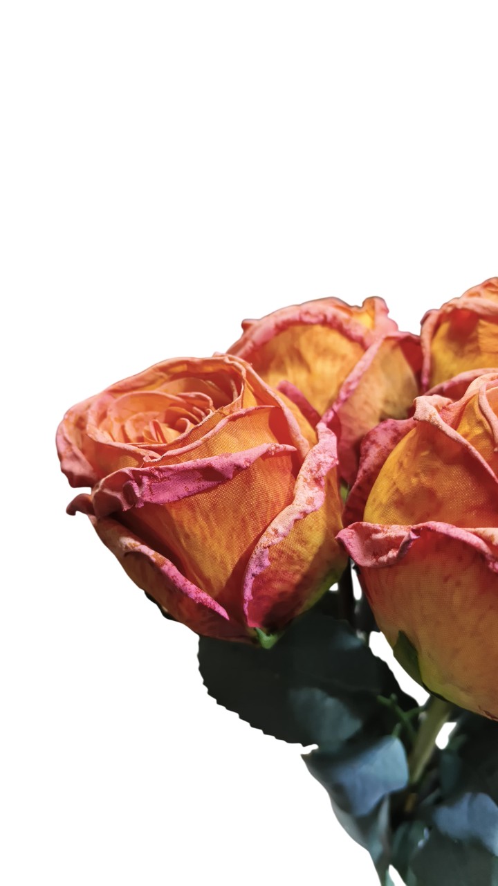 Artificial Dry Rose Flower Sticks (Orange) (Without Pot)