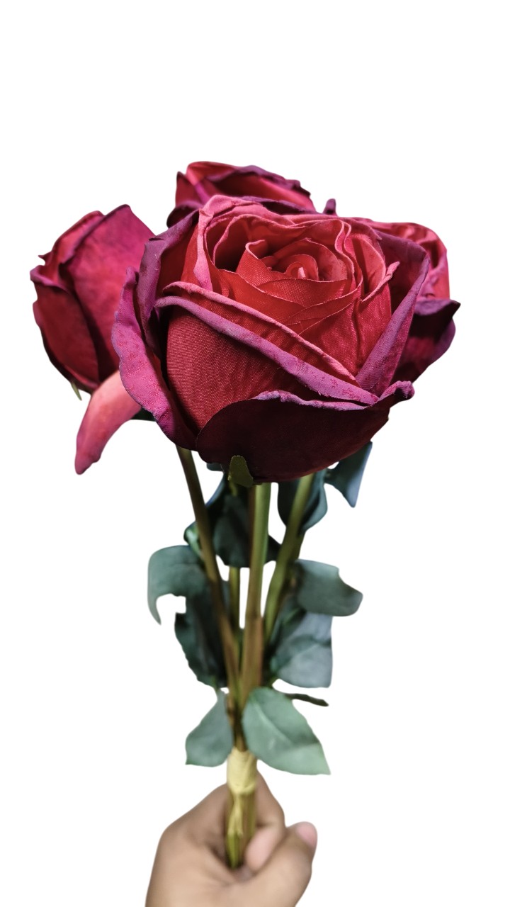 Artificial Dry Rose Flower Sticks (Red) (Without Pot)