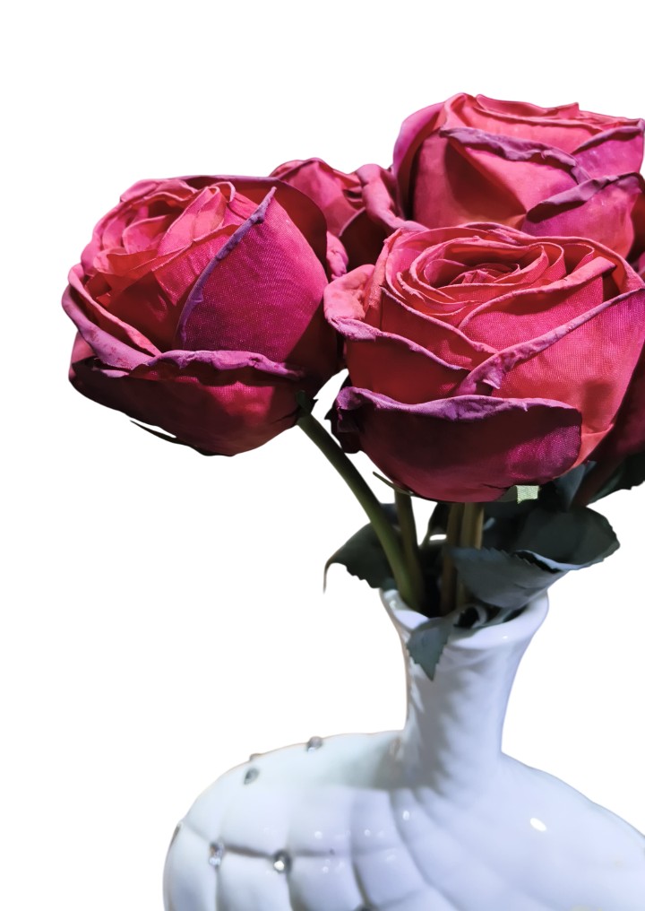 Artificial Dry Rose Flower Sticks (Red) (Without Pot)