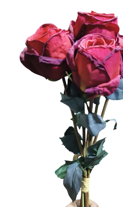 Artificial Dry Rose Flower Sticks (Red) (Without Pot)