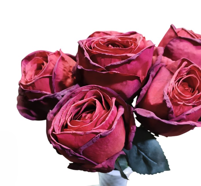 Artificial Dry Rose Flower Sticks (Red) (Without Pot)