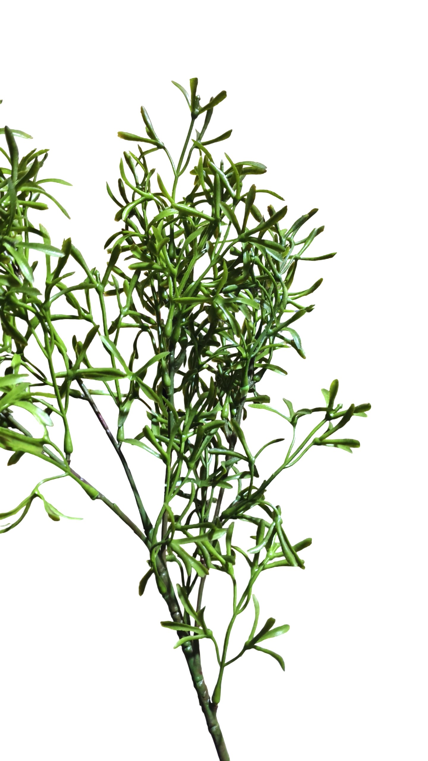 Artificial Leaf Greenery Foliage Bush Stick (Green)