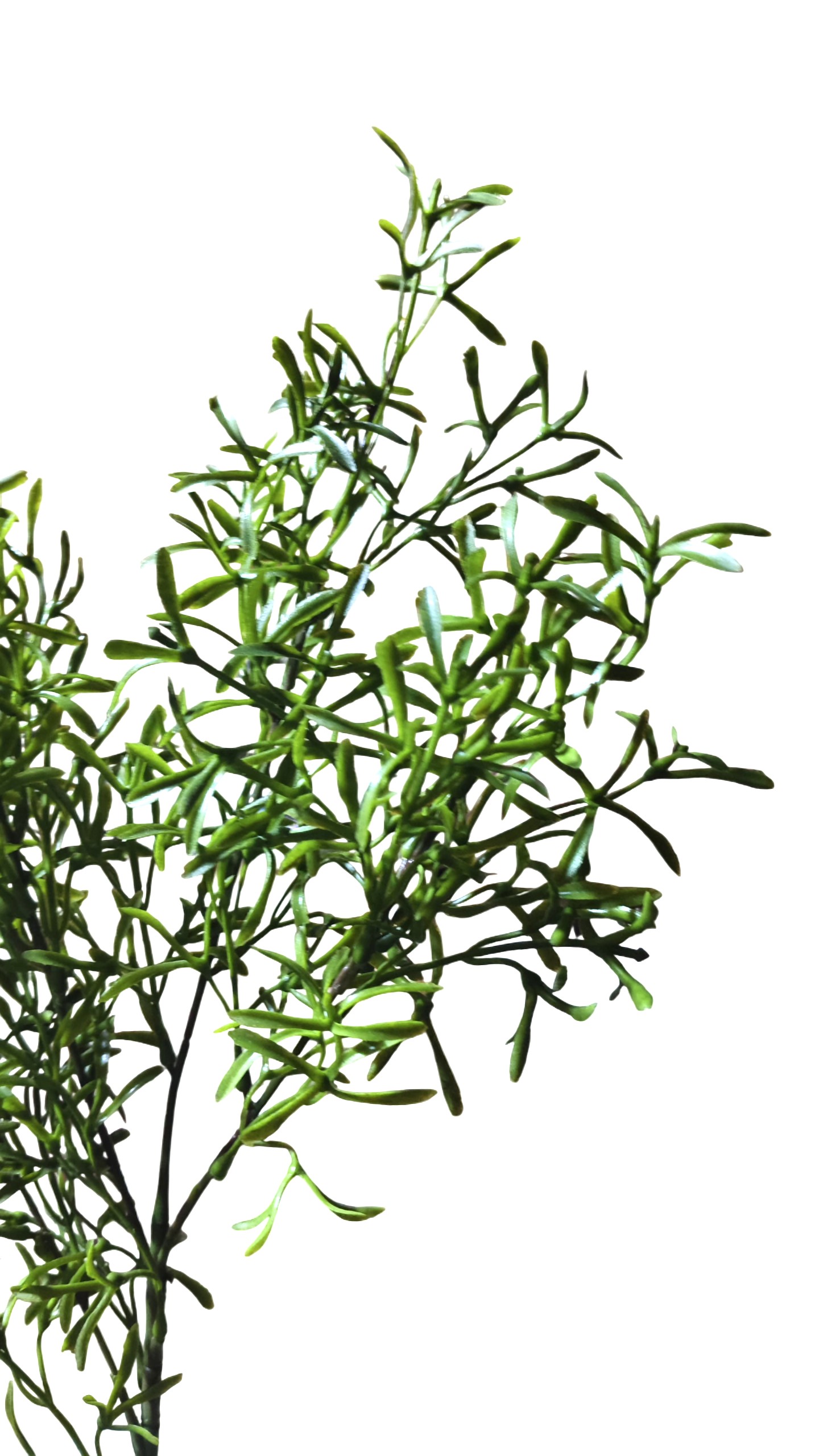 Artificial Leaf Greenery Foliage Bush Stick (Green)