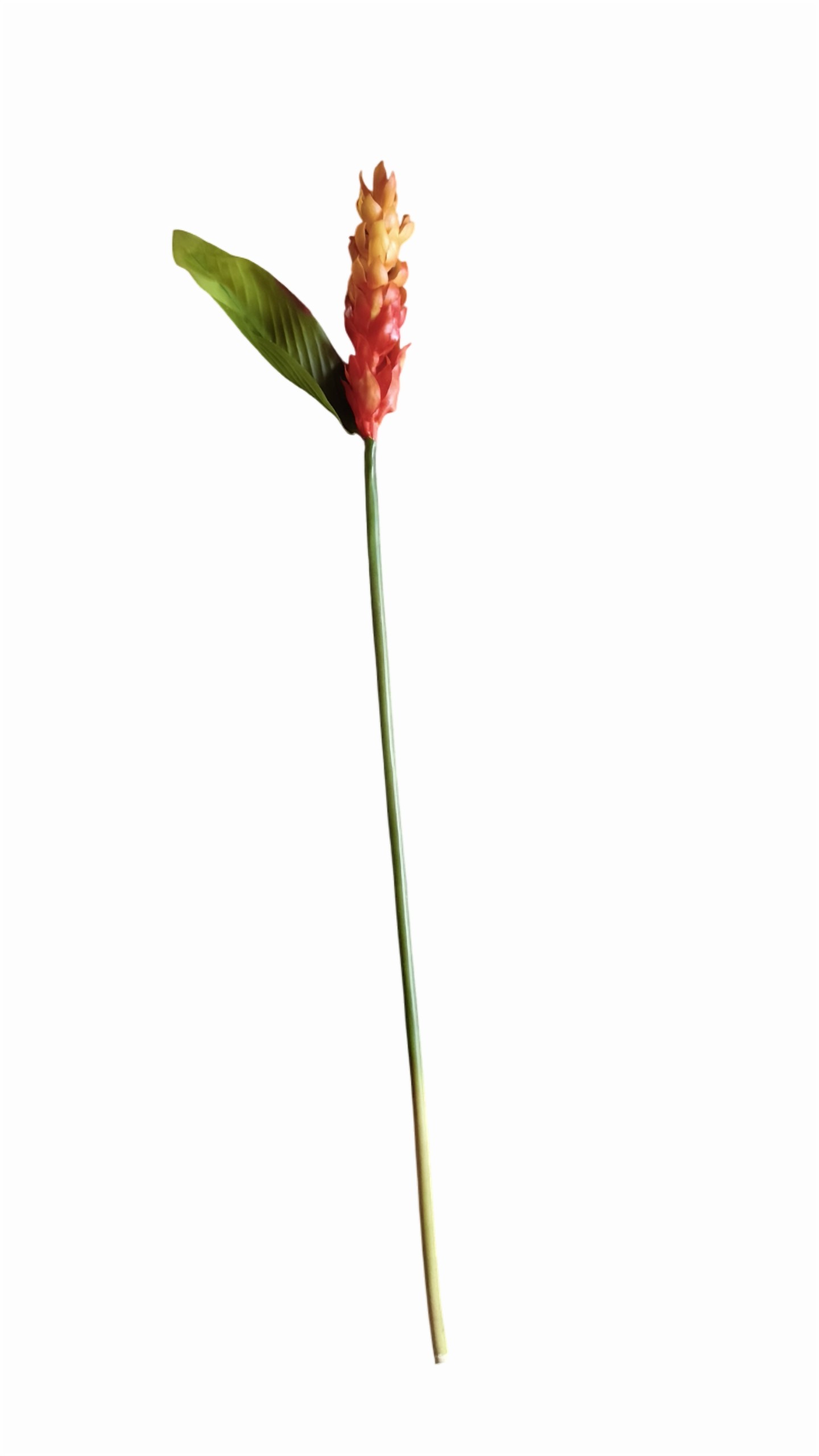 Artificial Hollyhock Flower Stick (Red) (Without Pot)