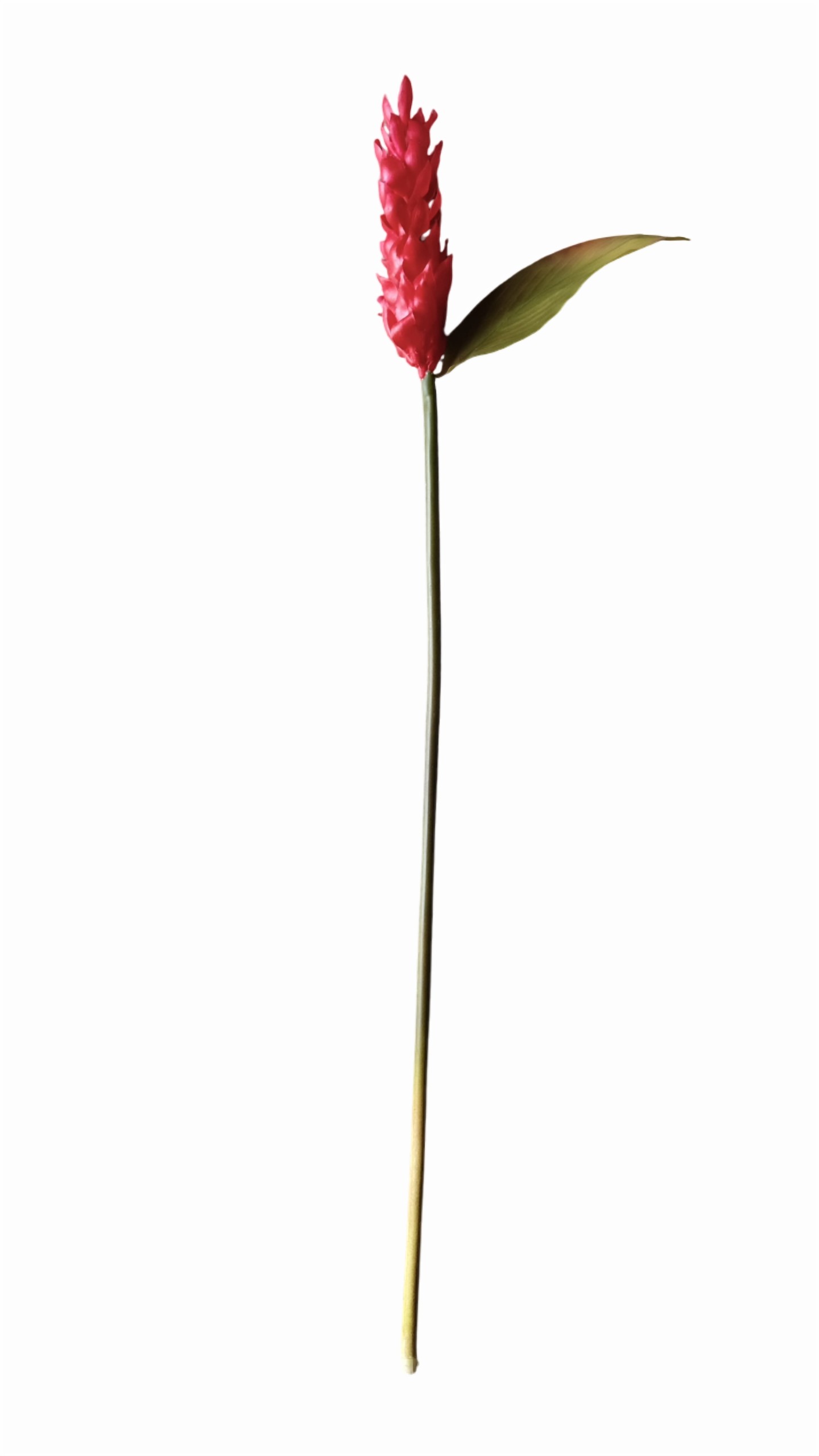 Artificial Hollyhock Flower Stick (Red) (Without Pot)