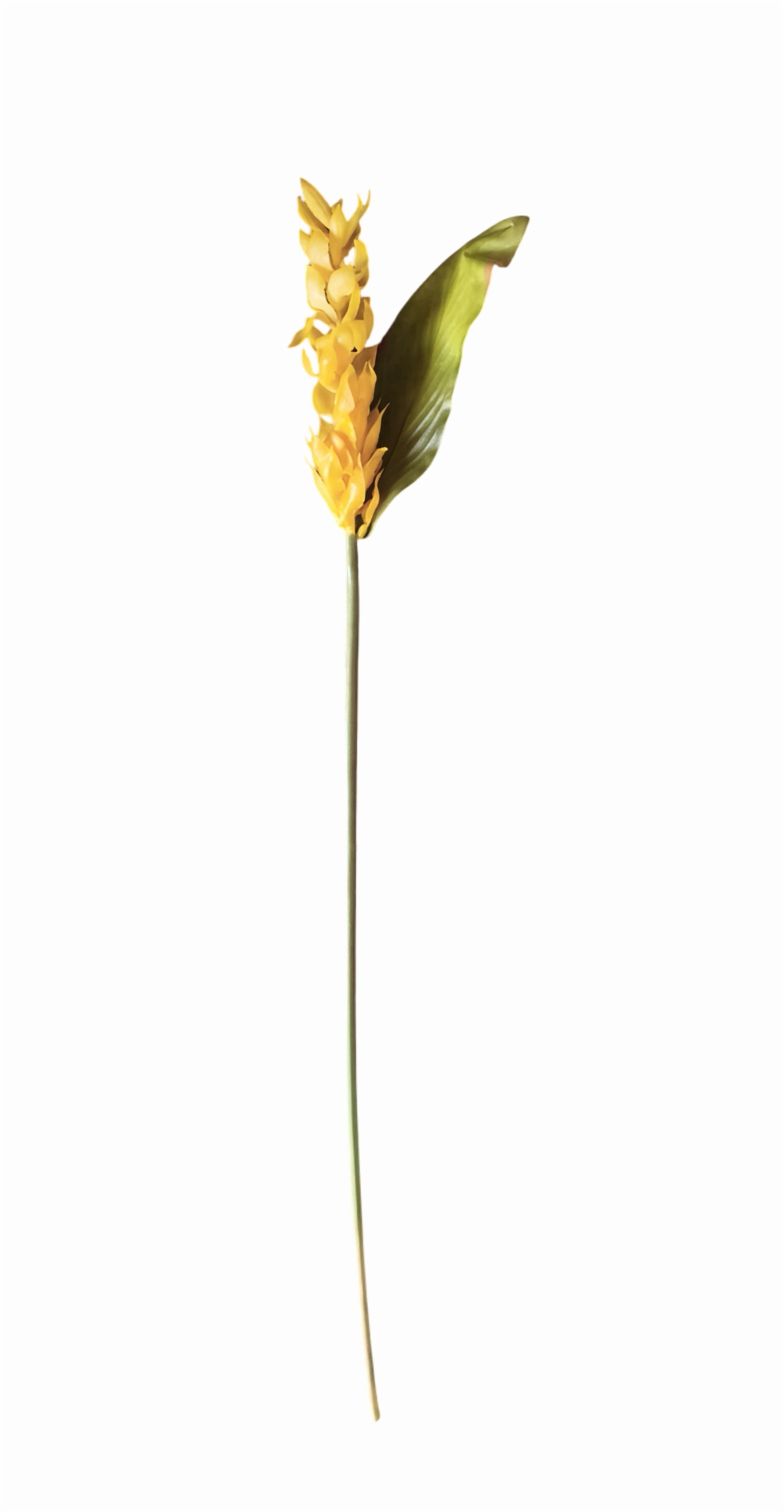 Artificial Hollyhock Flower Stick (Yellow) (Without Pot)