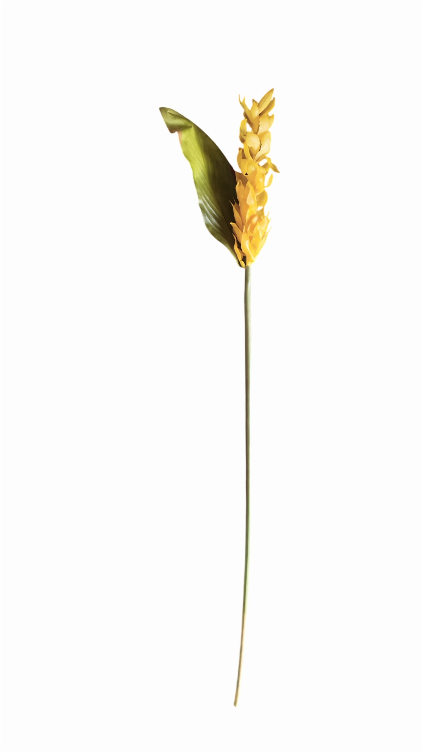 Artificial Hollyhock Flower Stick (Yellow) (Without Pot)