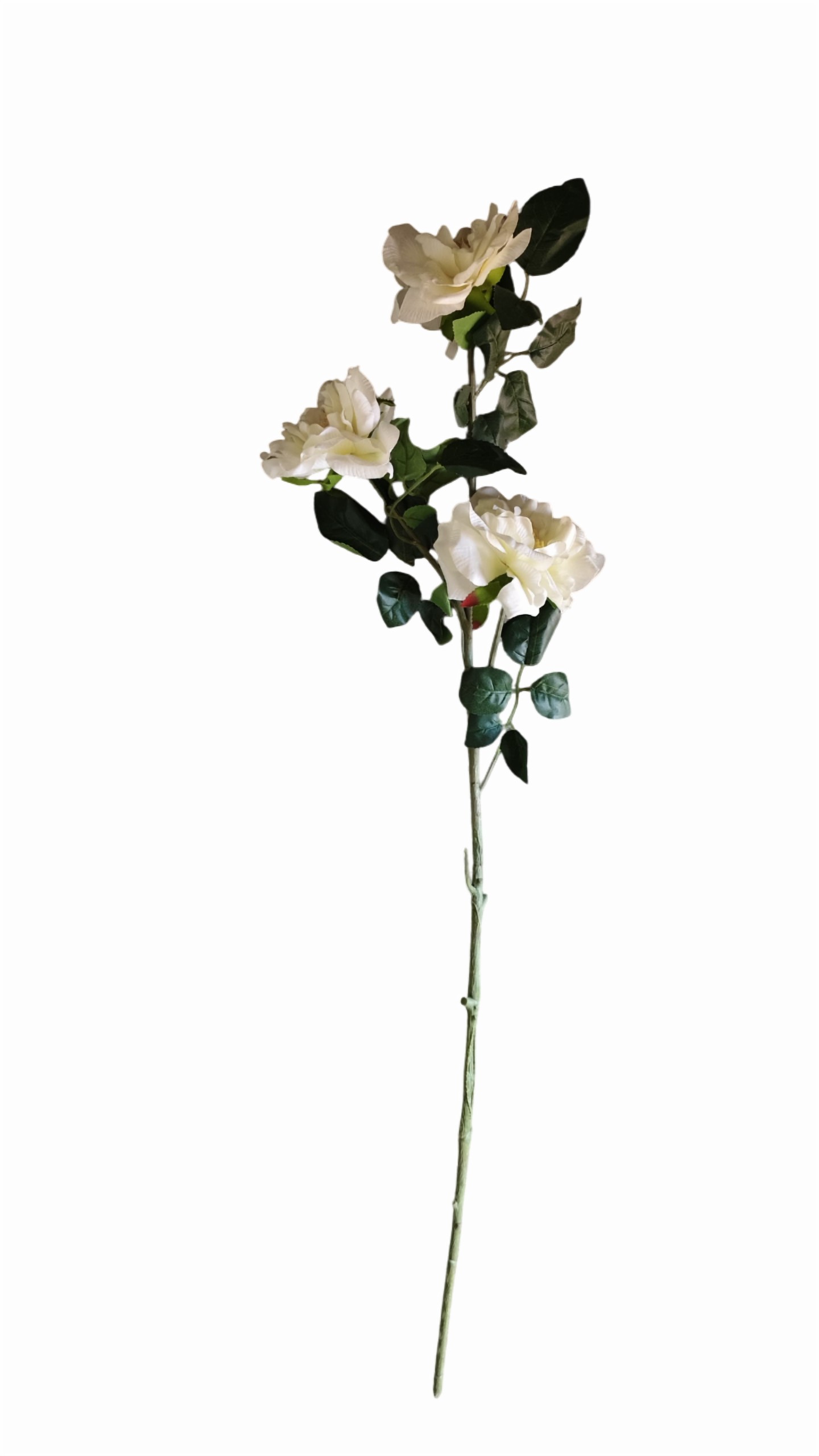 Artificial Rose Flower Stick (Off White) (Without Pot)