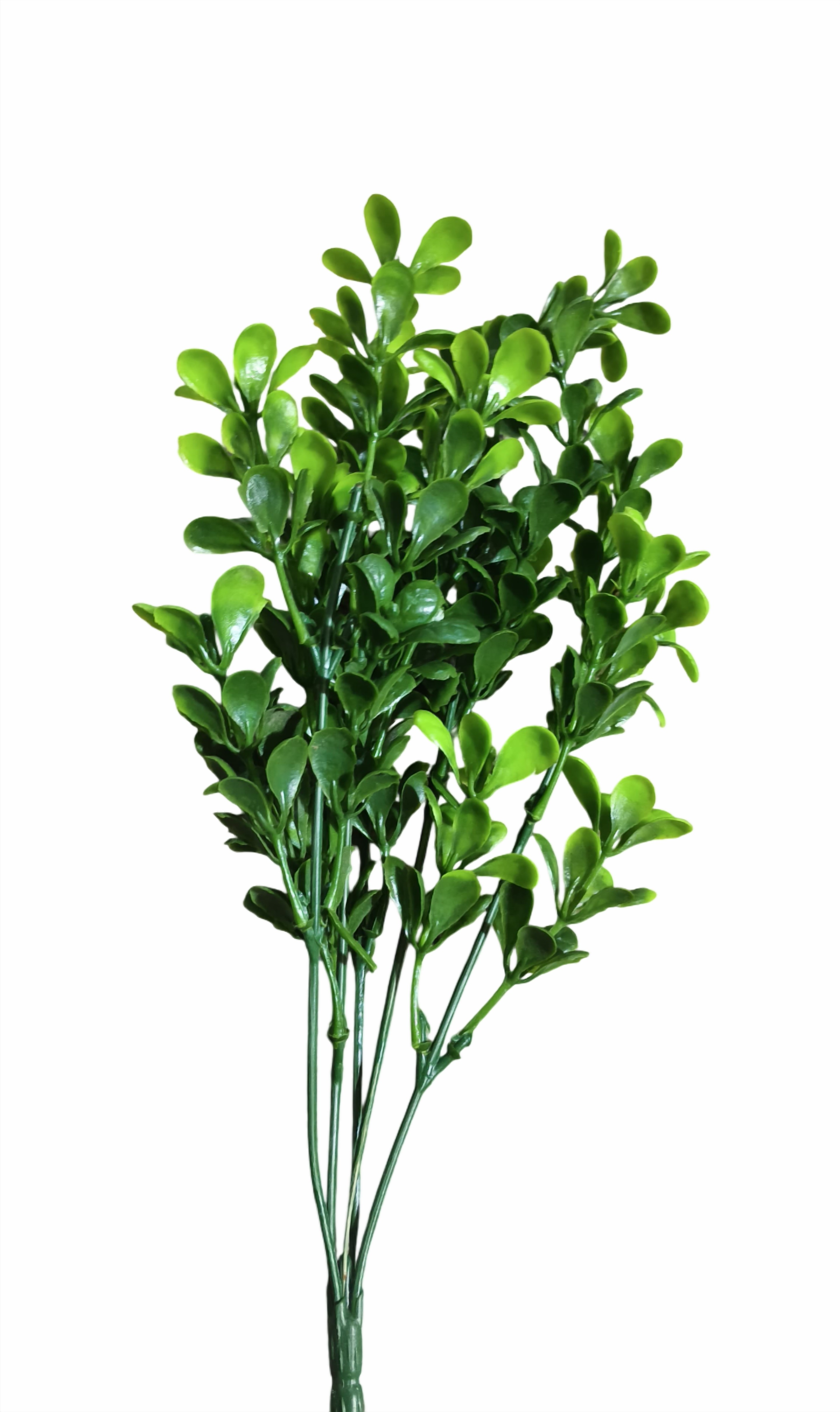 Artificial Chana Patti Plastic Bunch (Green)