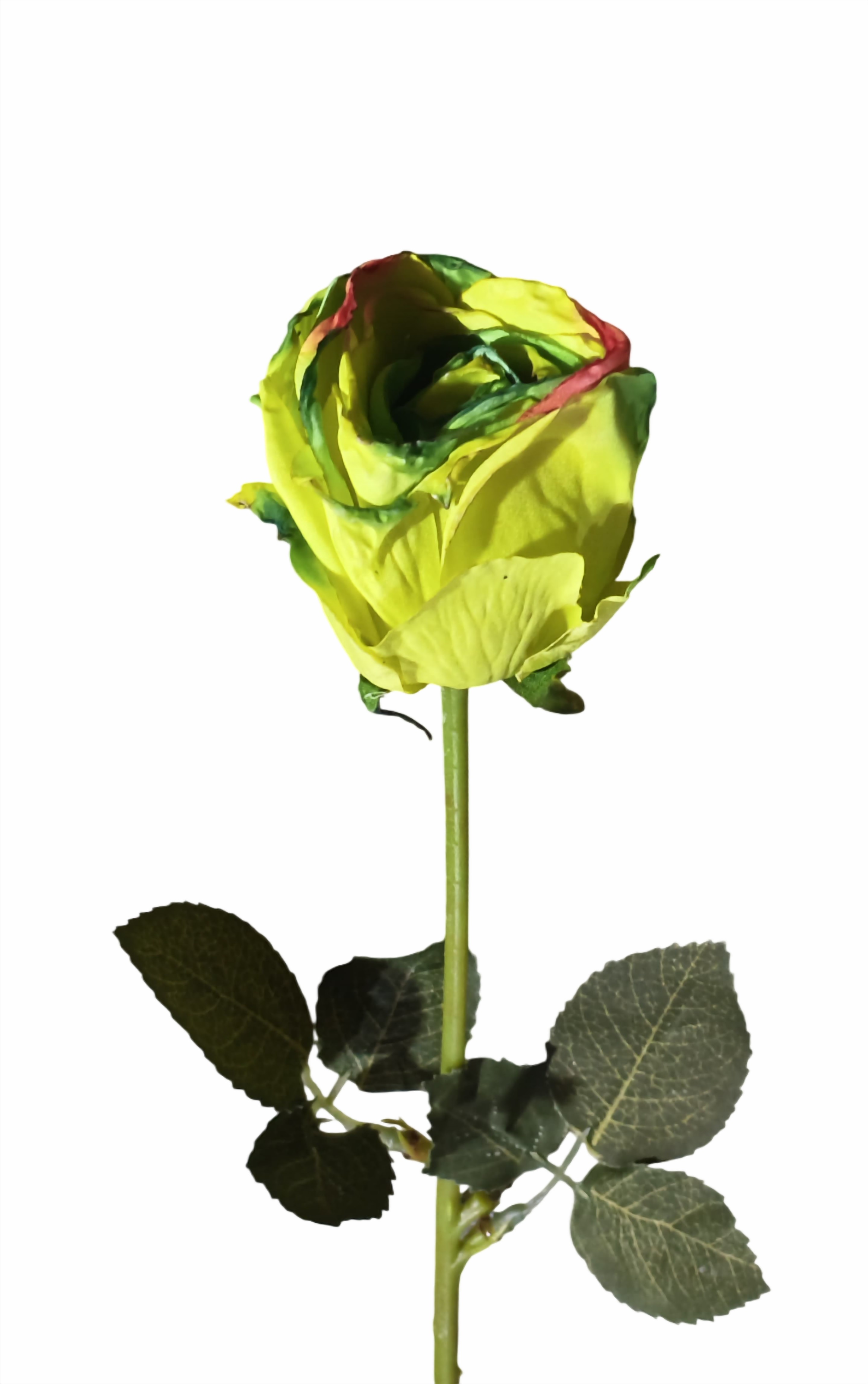 Artificial Rose Flower Stick (Lemon Green)