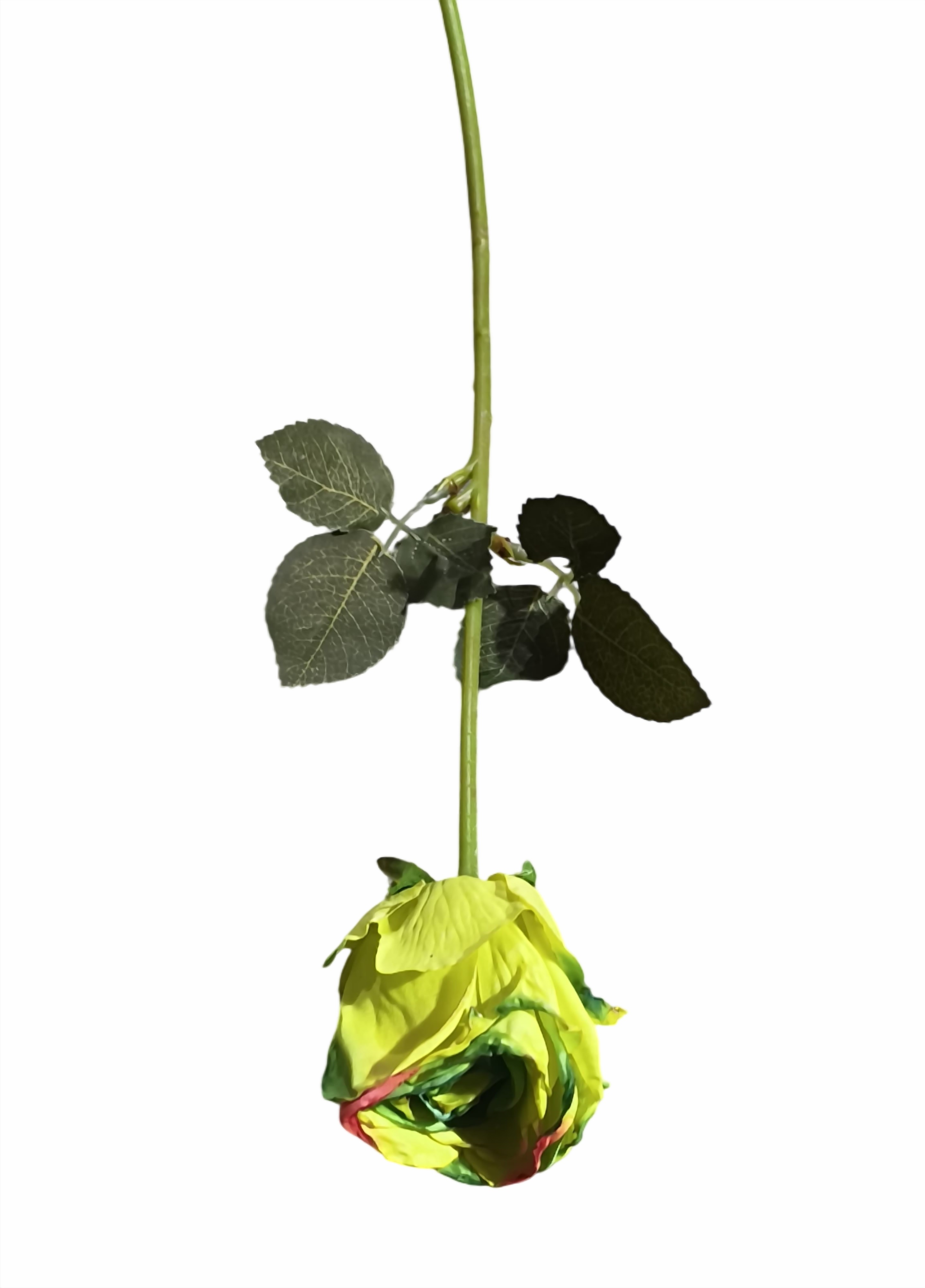 Artificial Rose Flower Stick (Lemon Green)