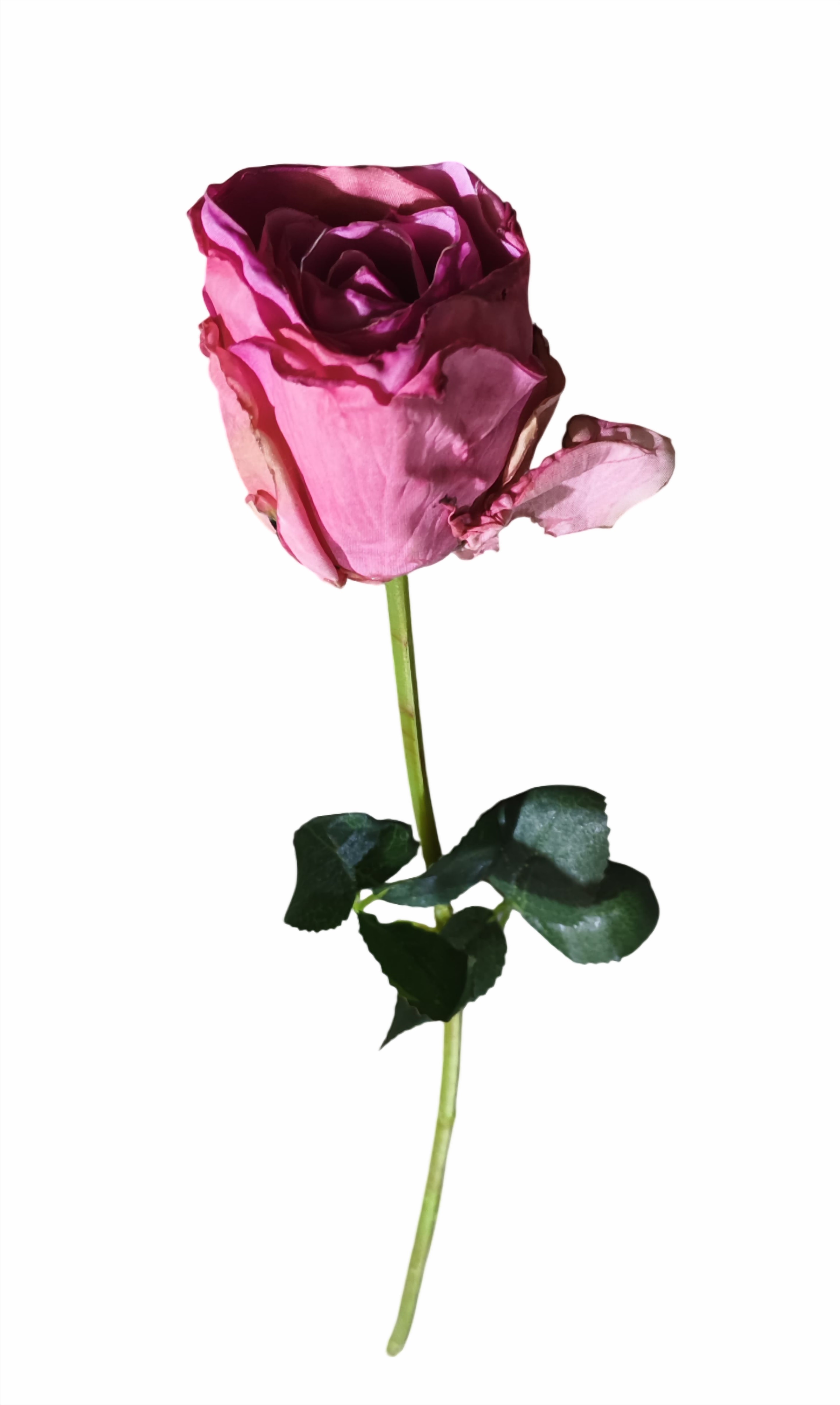 Rose Flower Stick (Pink)