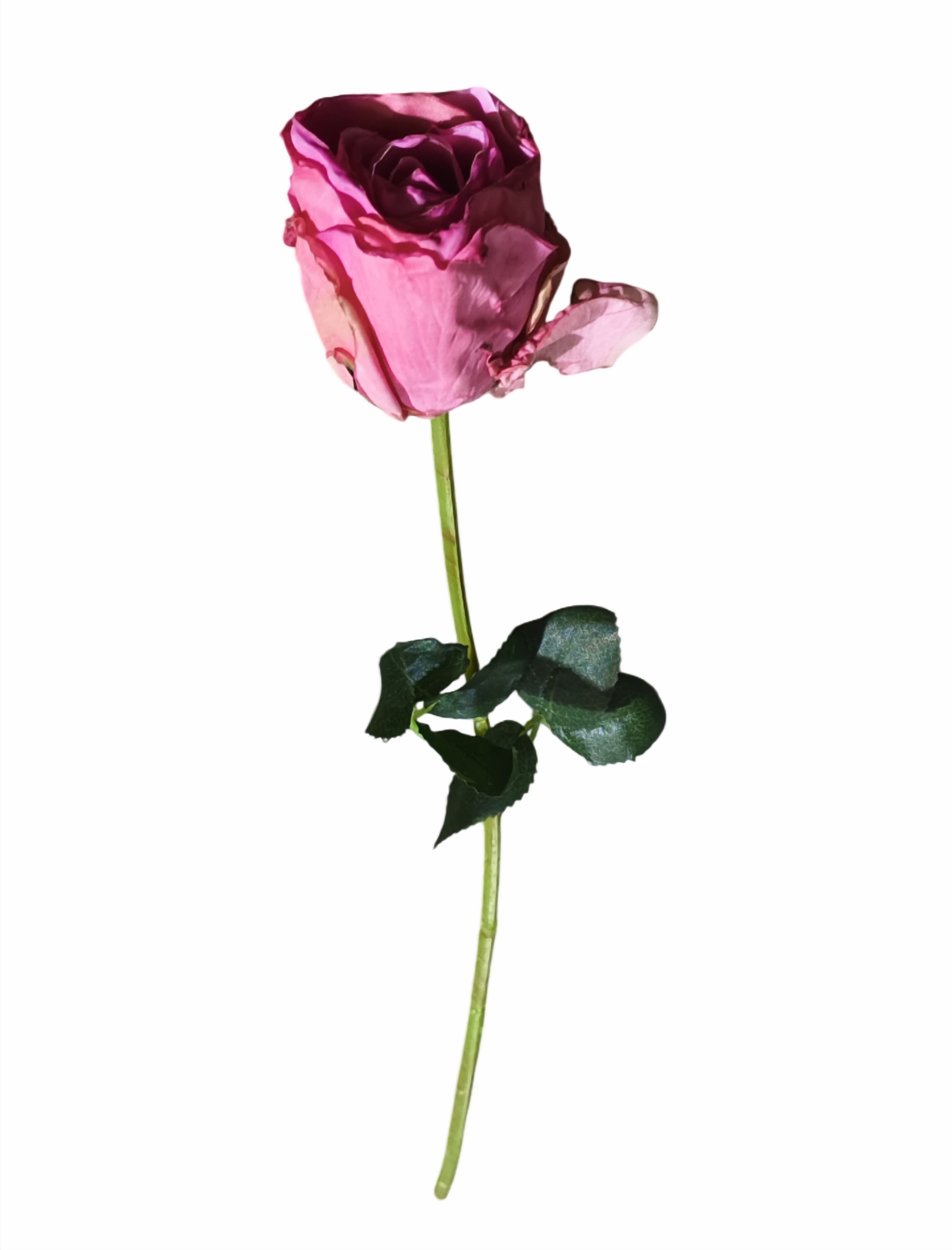 Rose Flower Stick (Pink)