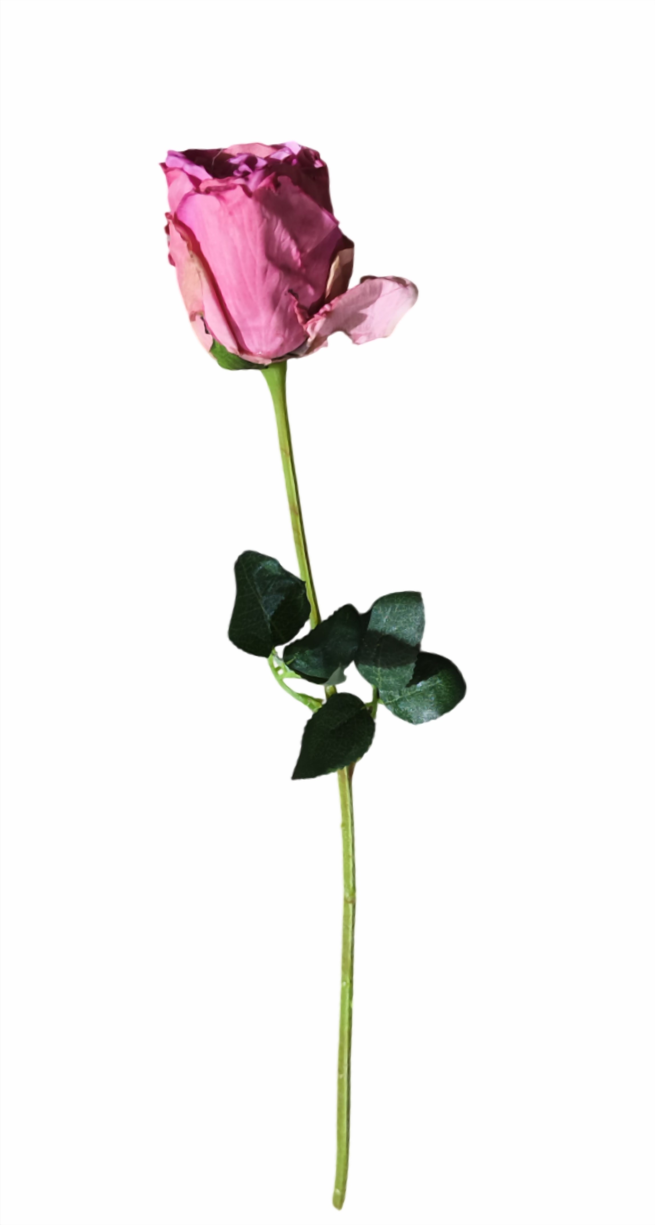 Rose Flower Stick (Pink)