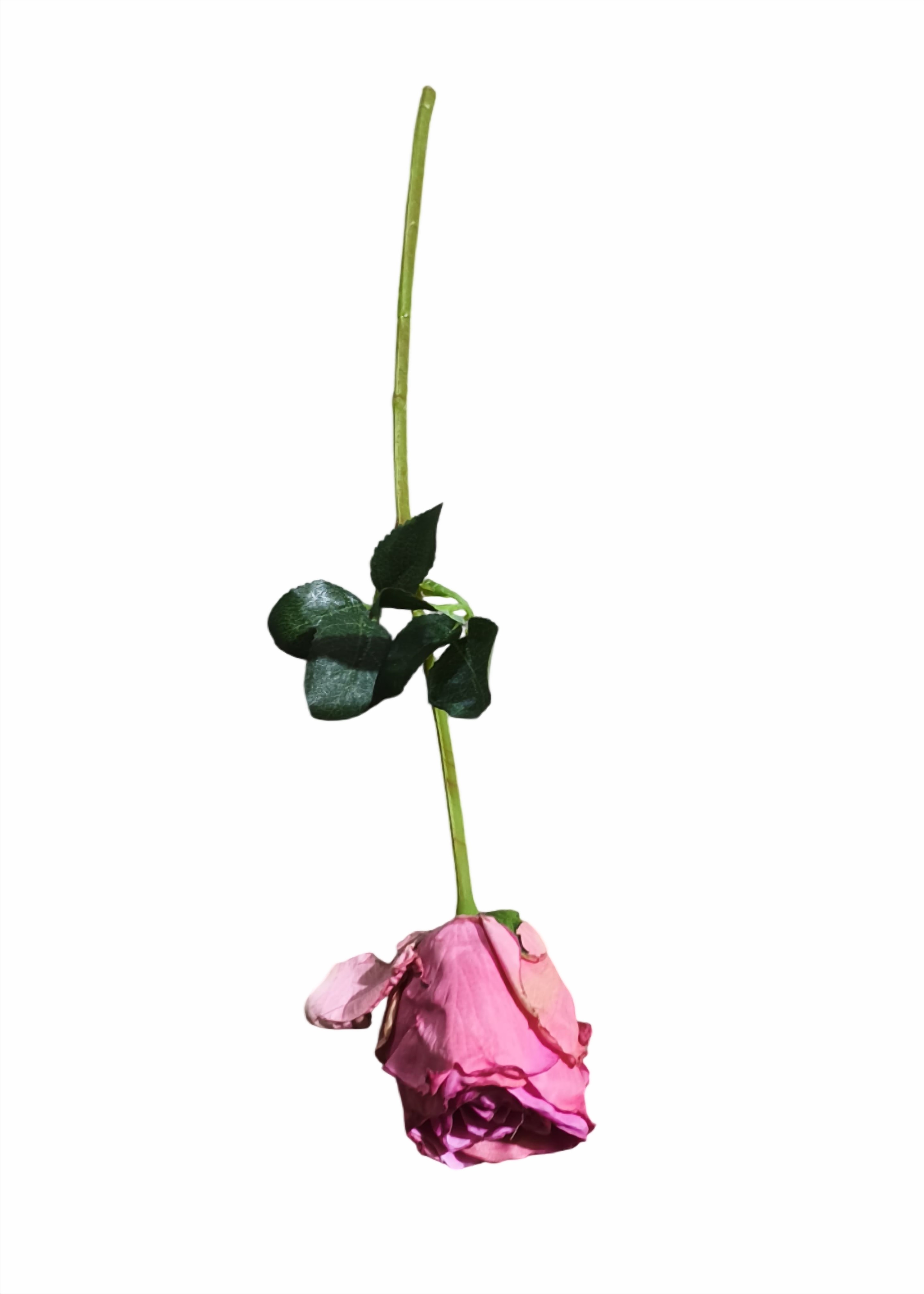 Rose Flower Stick (Pink)