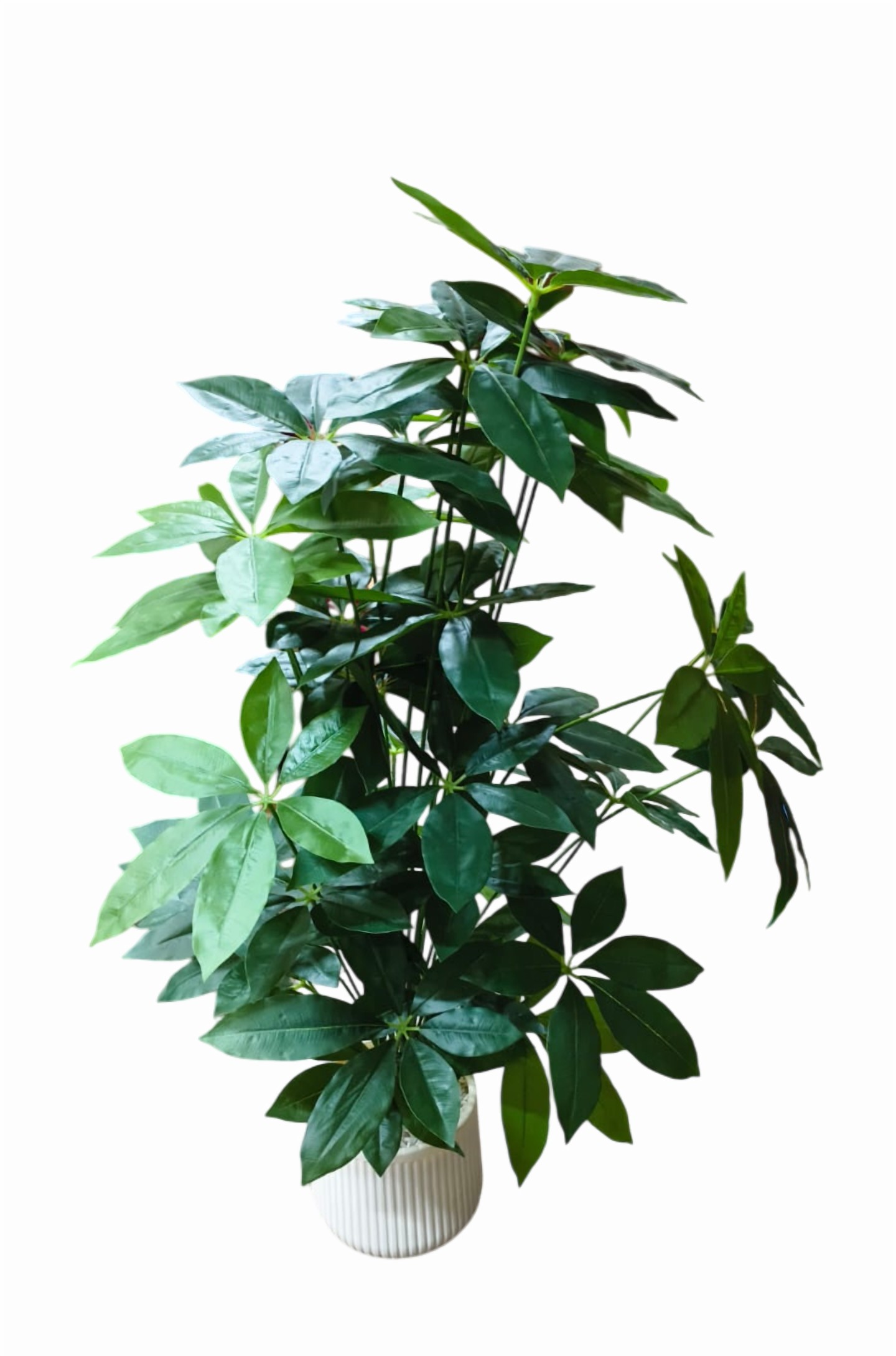 1 Pc 4 Ft. Artificial Fortune Tree Plant (Green) (Without Pot)