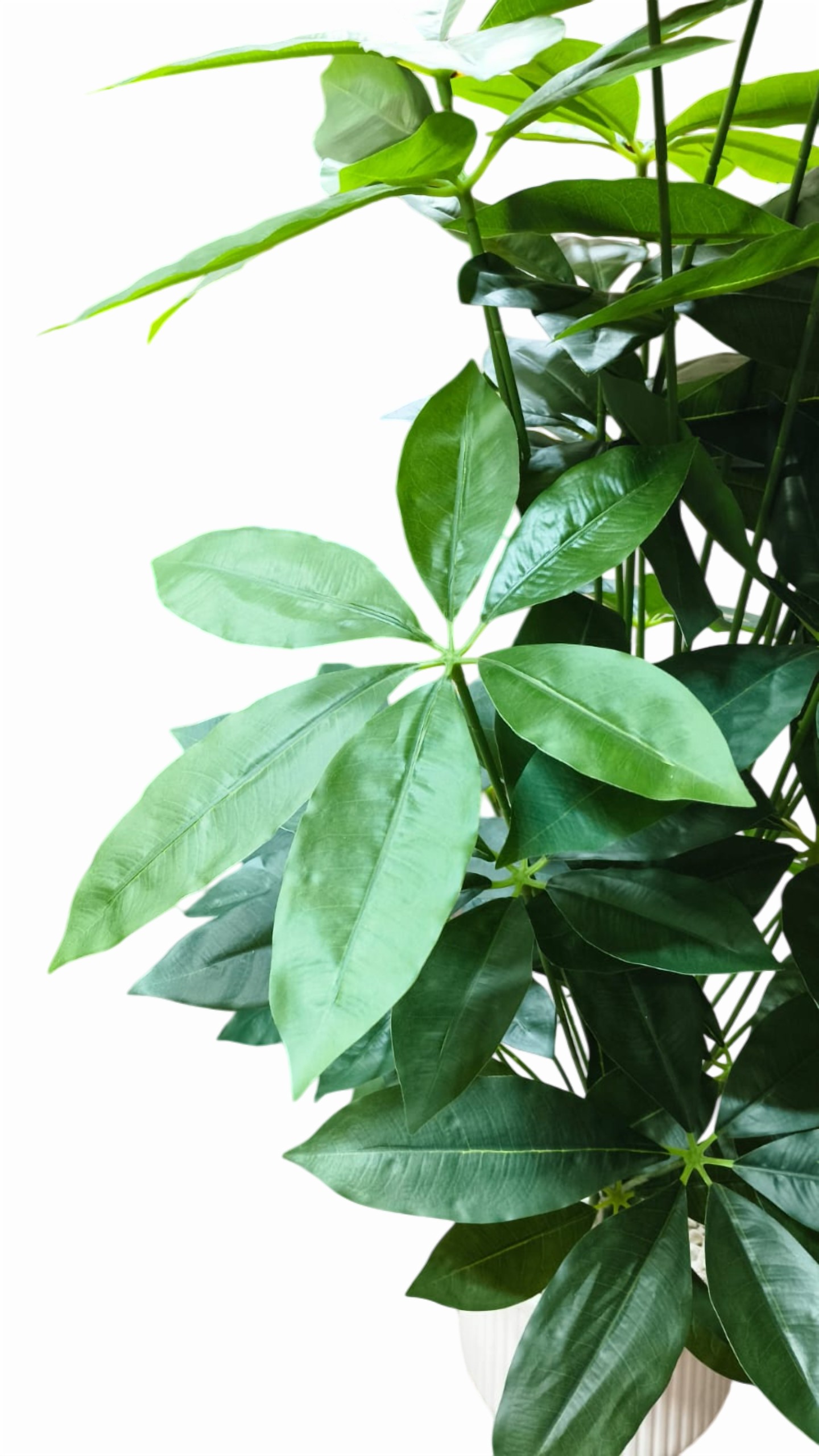 1 Pc 4 Ft. Artificial Fortune Tree Plant (Green) (Without Pot)