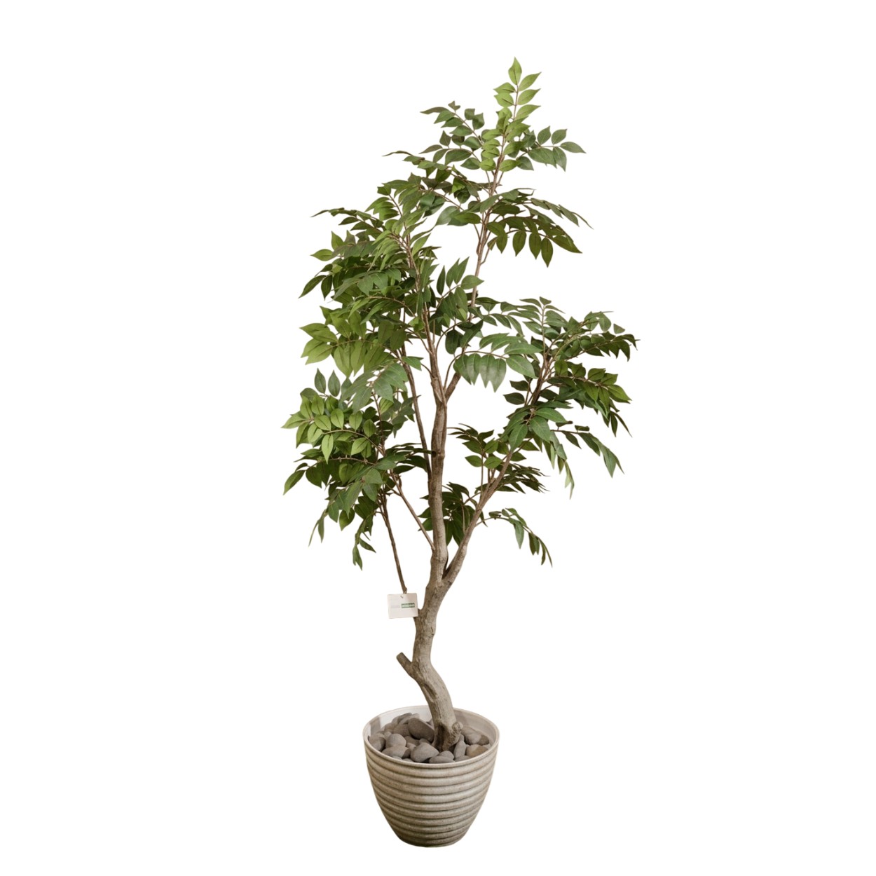 (5 Ft) Artificial Autumn Minimalist Sumac Tree (Green) (Without Pot)