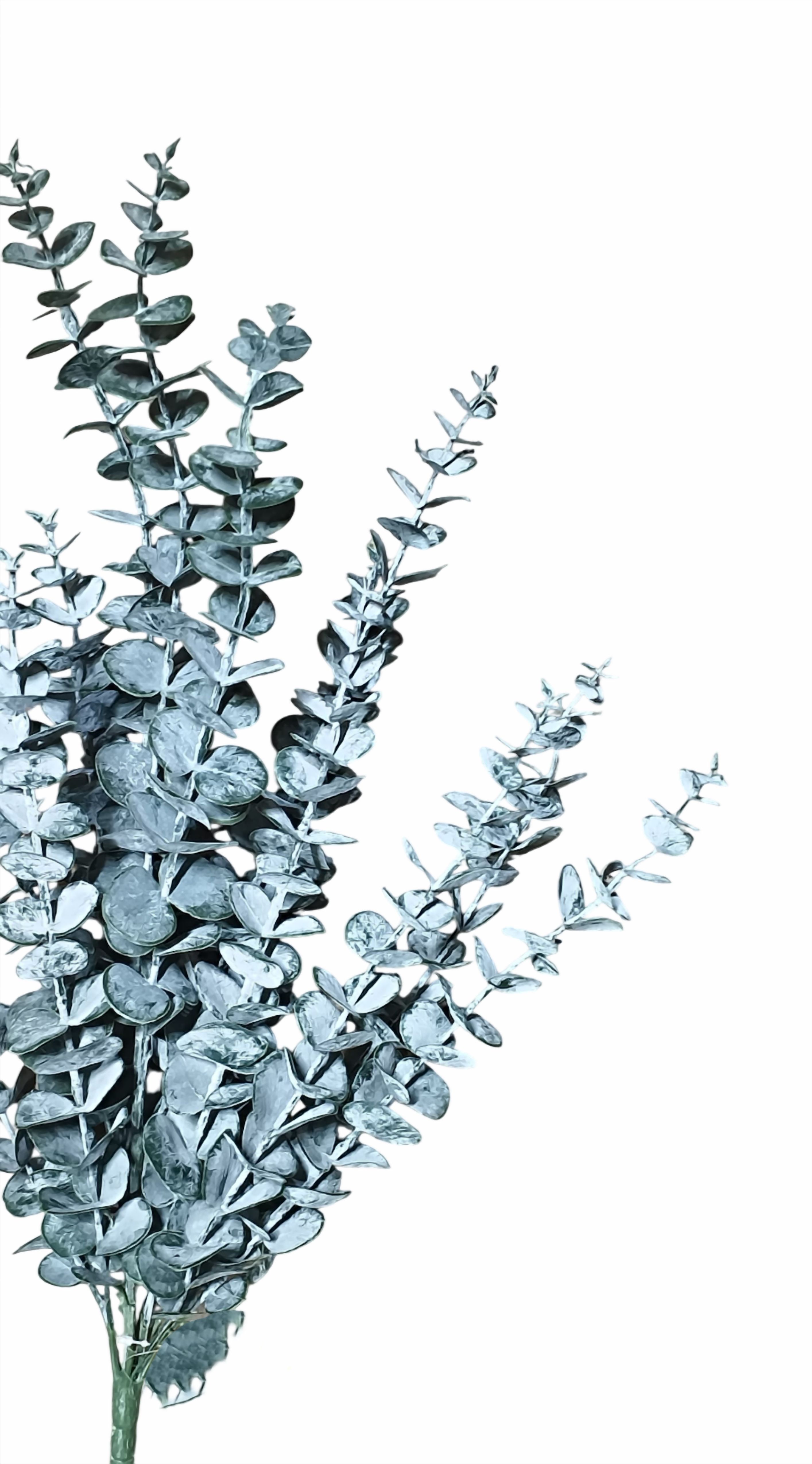 Artificial Eucalyptus Bunch (Frosted Green)