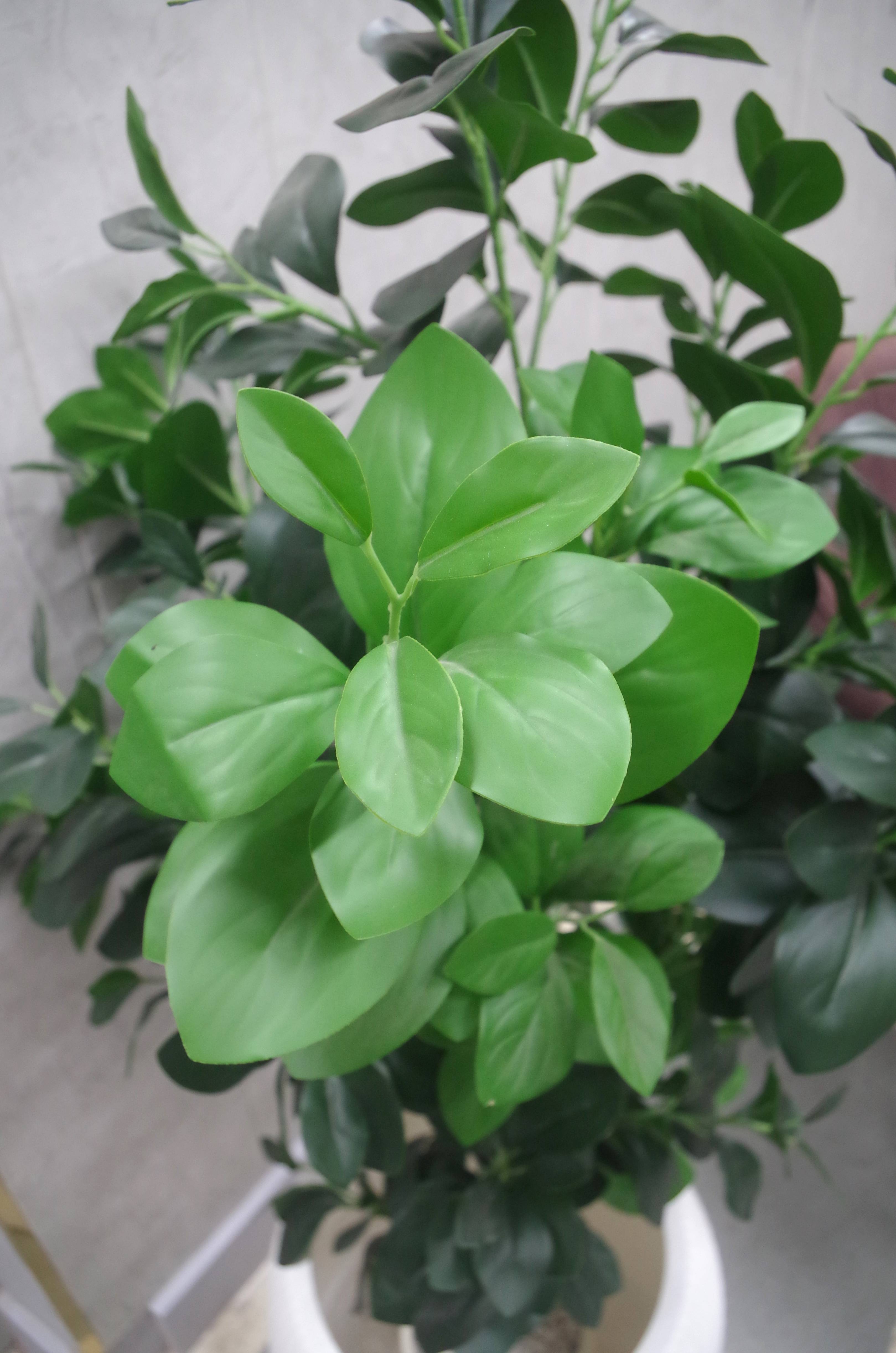 Artificial Ficus Leaf Plant 4 Feet (Without Planter)