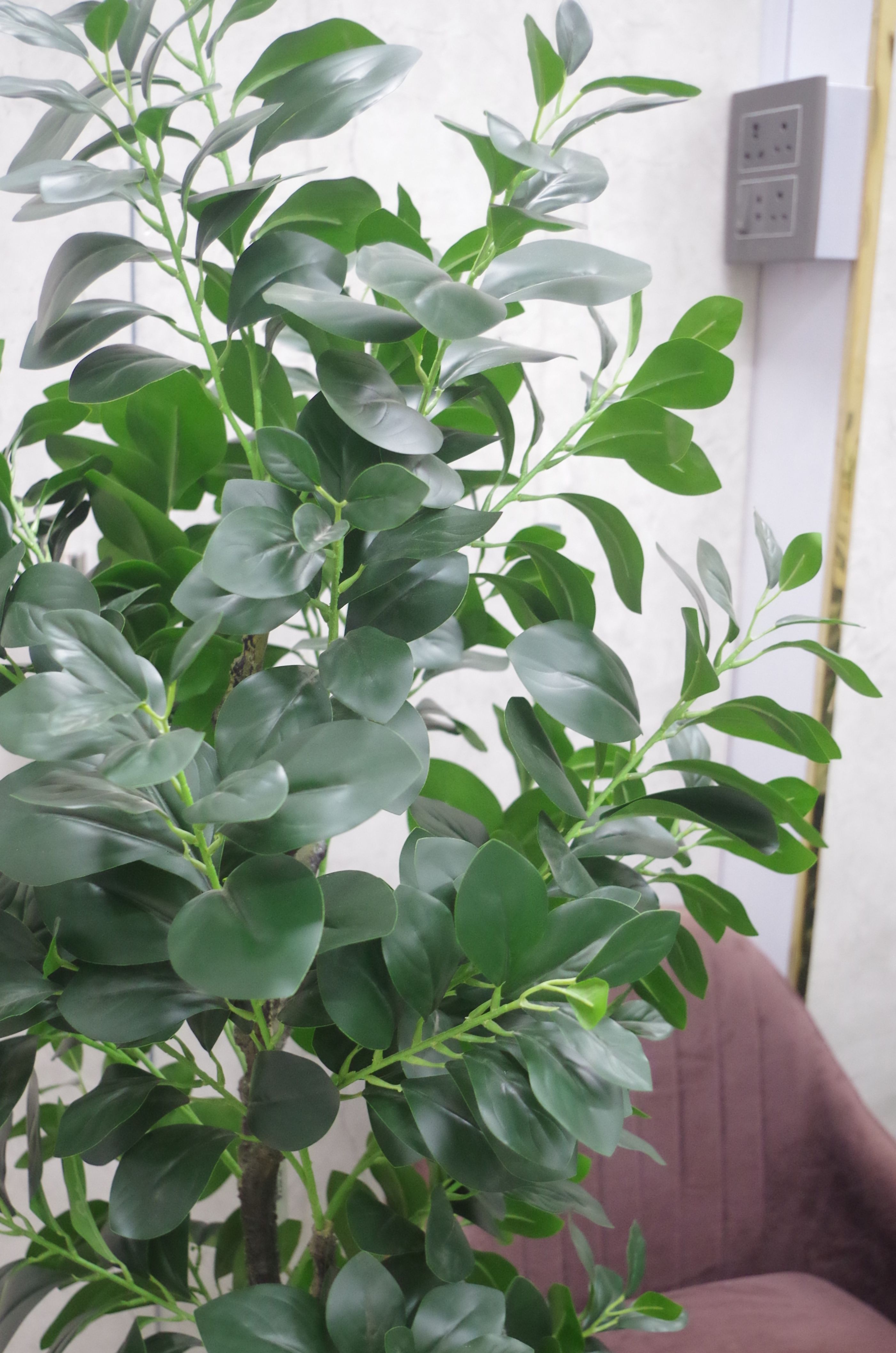 Artificial Ficus Leaf Plant 5.2 Feet (Without Planter)