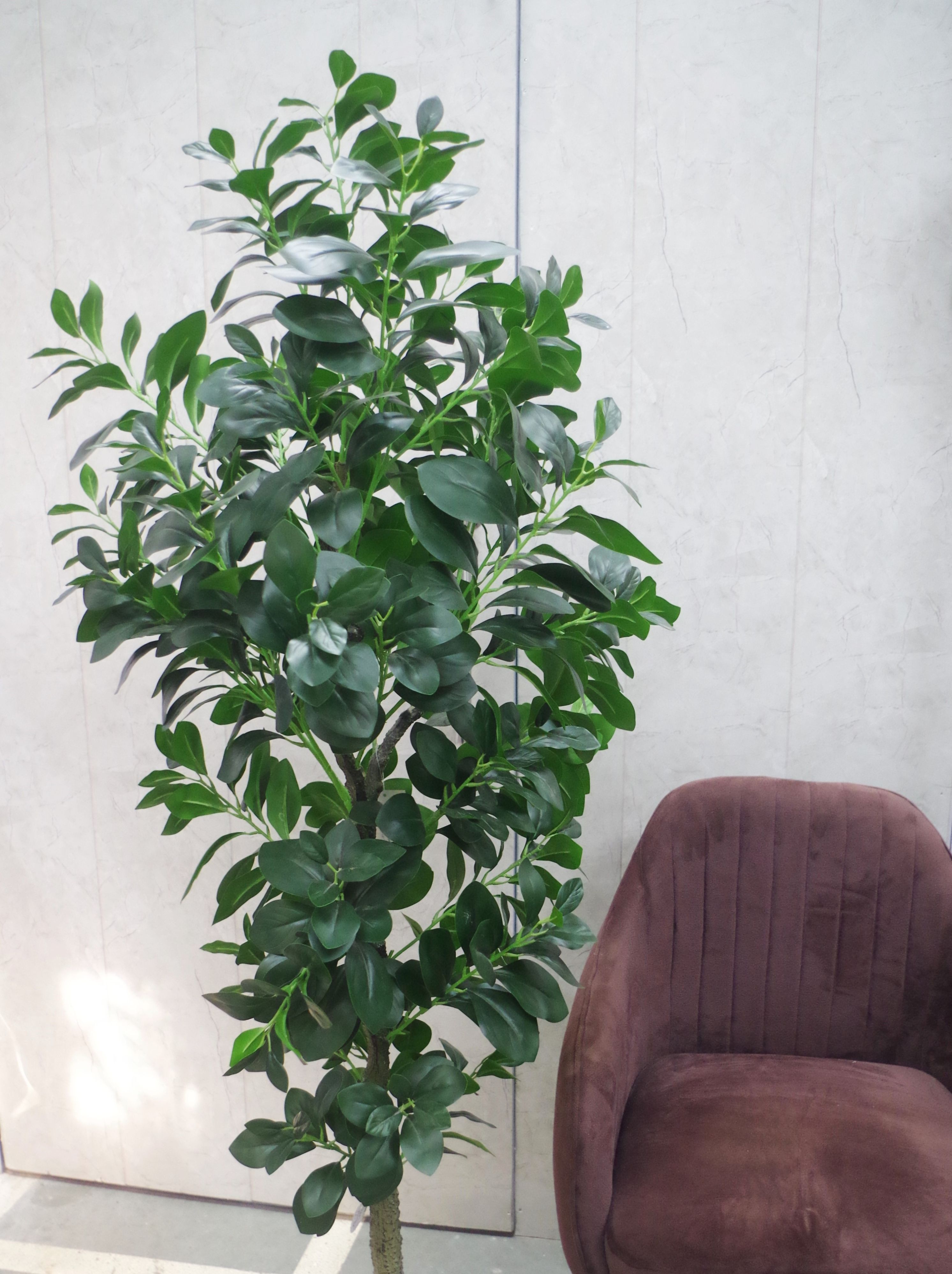 Artificial Ficus Leaf Plant 5.2 Feet (Without Planter)
