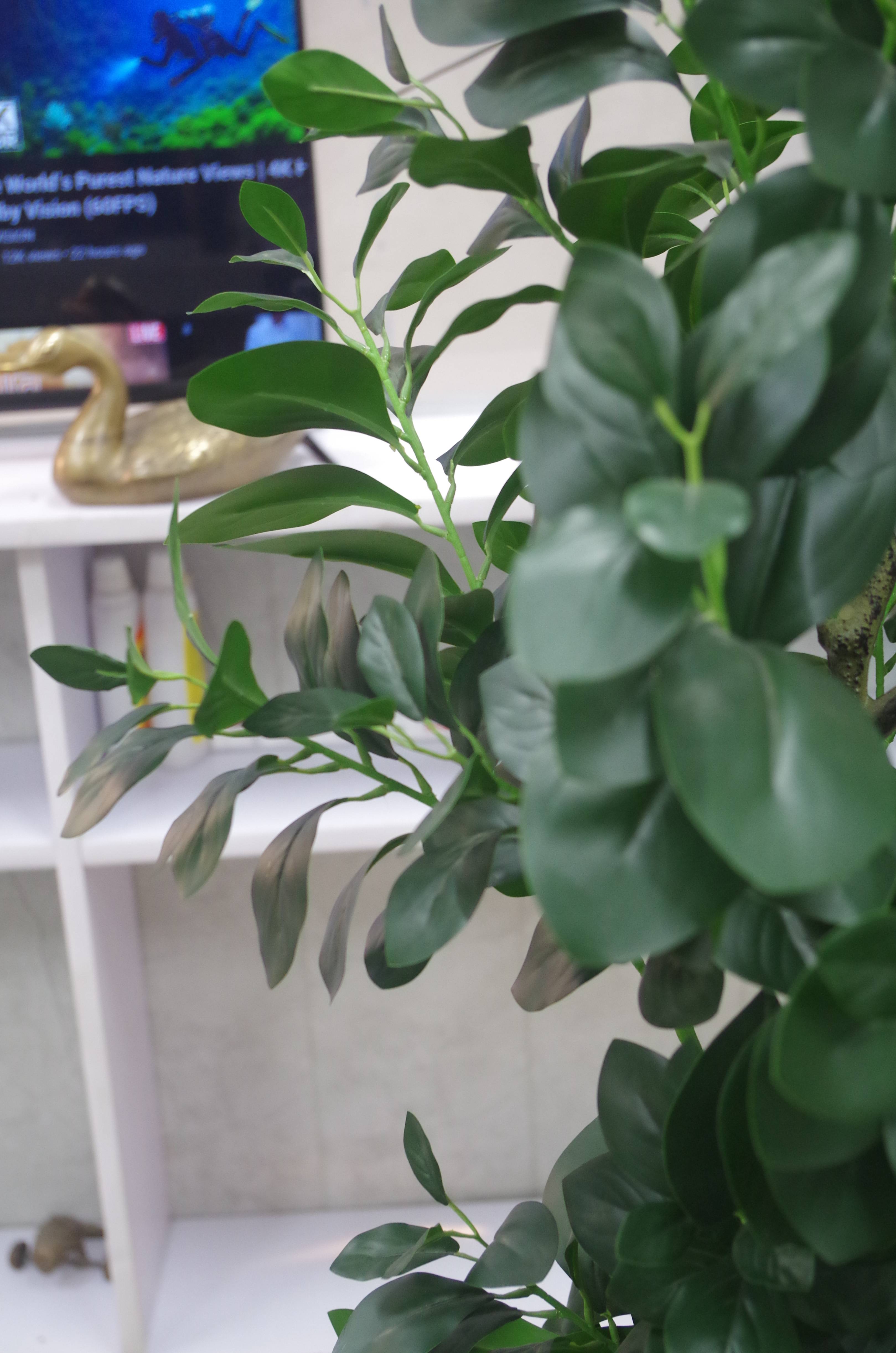 Artificial Ficus Leaf Plant 5.2 Feet (Without Planter)