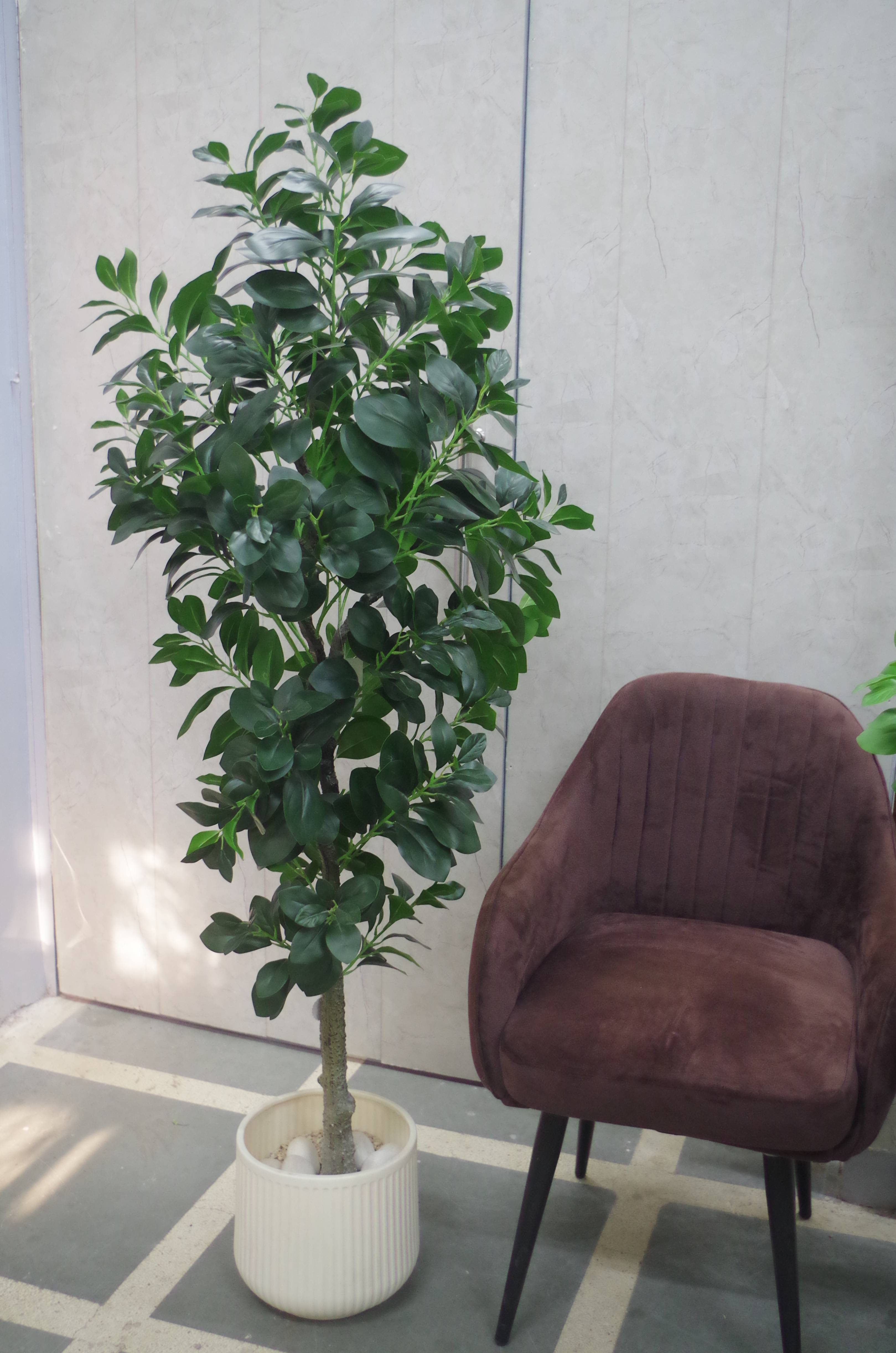 Artificial Ficus Leaf Plant 5.2 Feet (Without Planter)