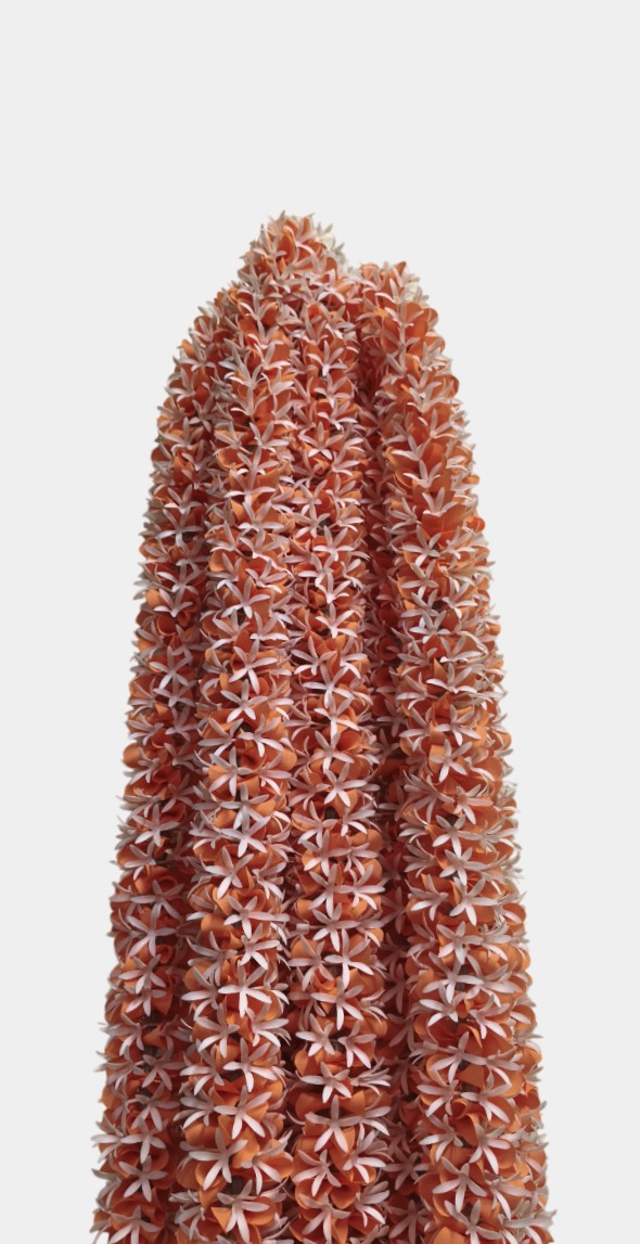Artificial Flower Orange Garland Toran Wall Hangings (5.5 Feet, 10 Pcs)