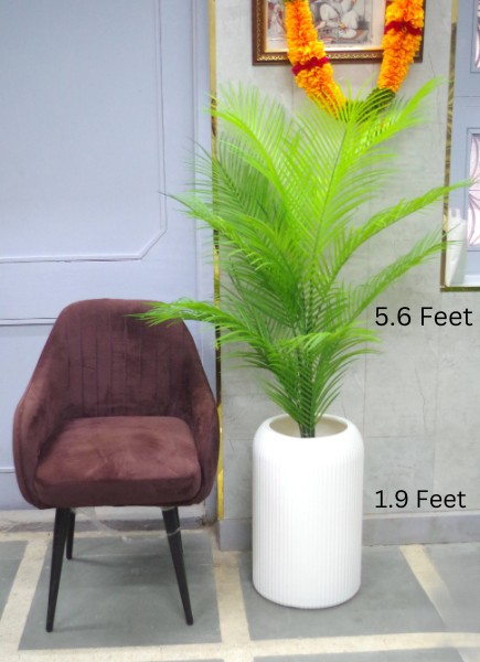 Artificial Lush Green Areca Palm (Complete Set)