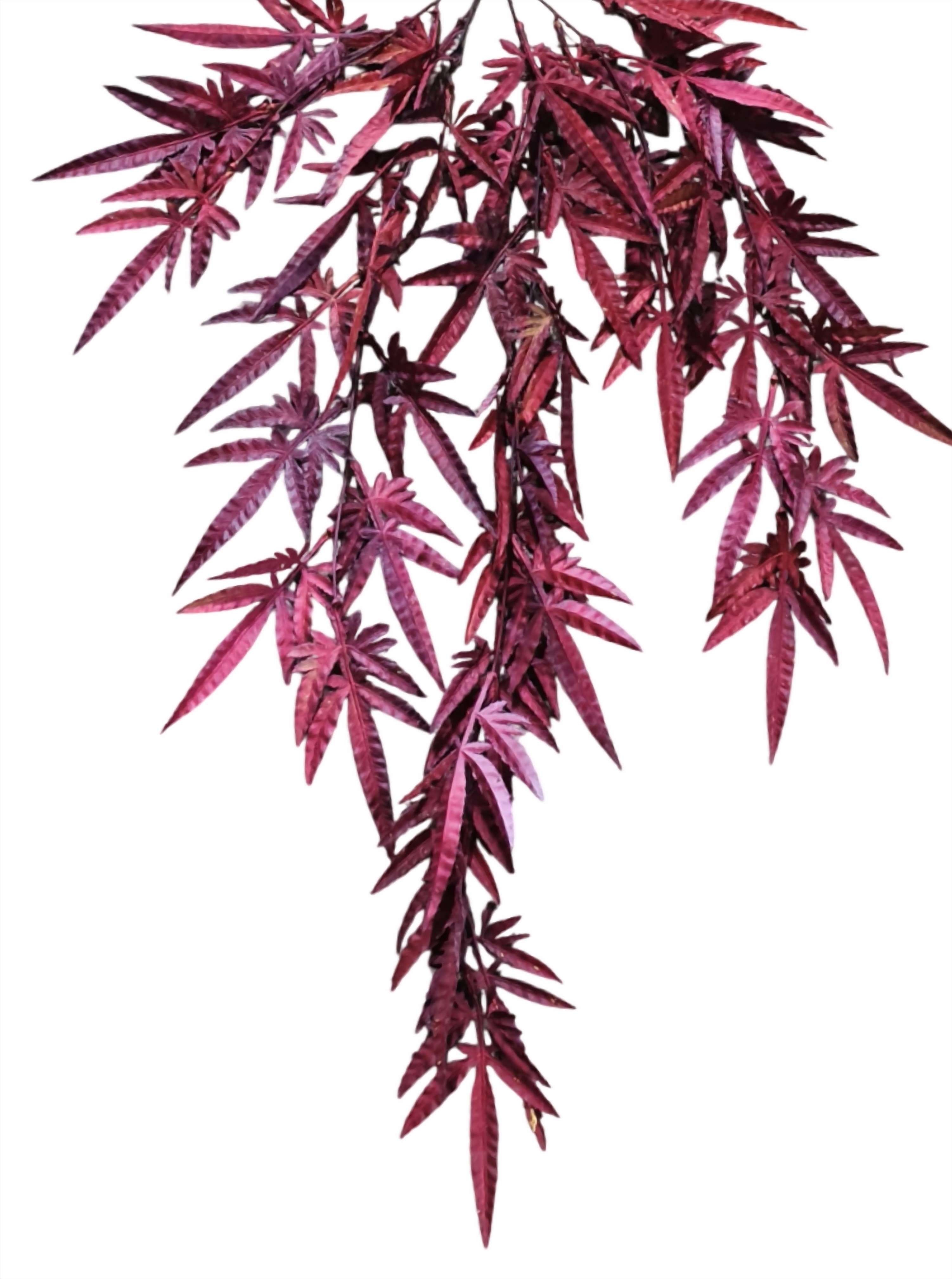 Artificial Maple Leaves Falling (Maroon)