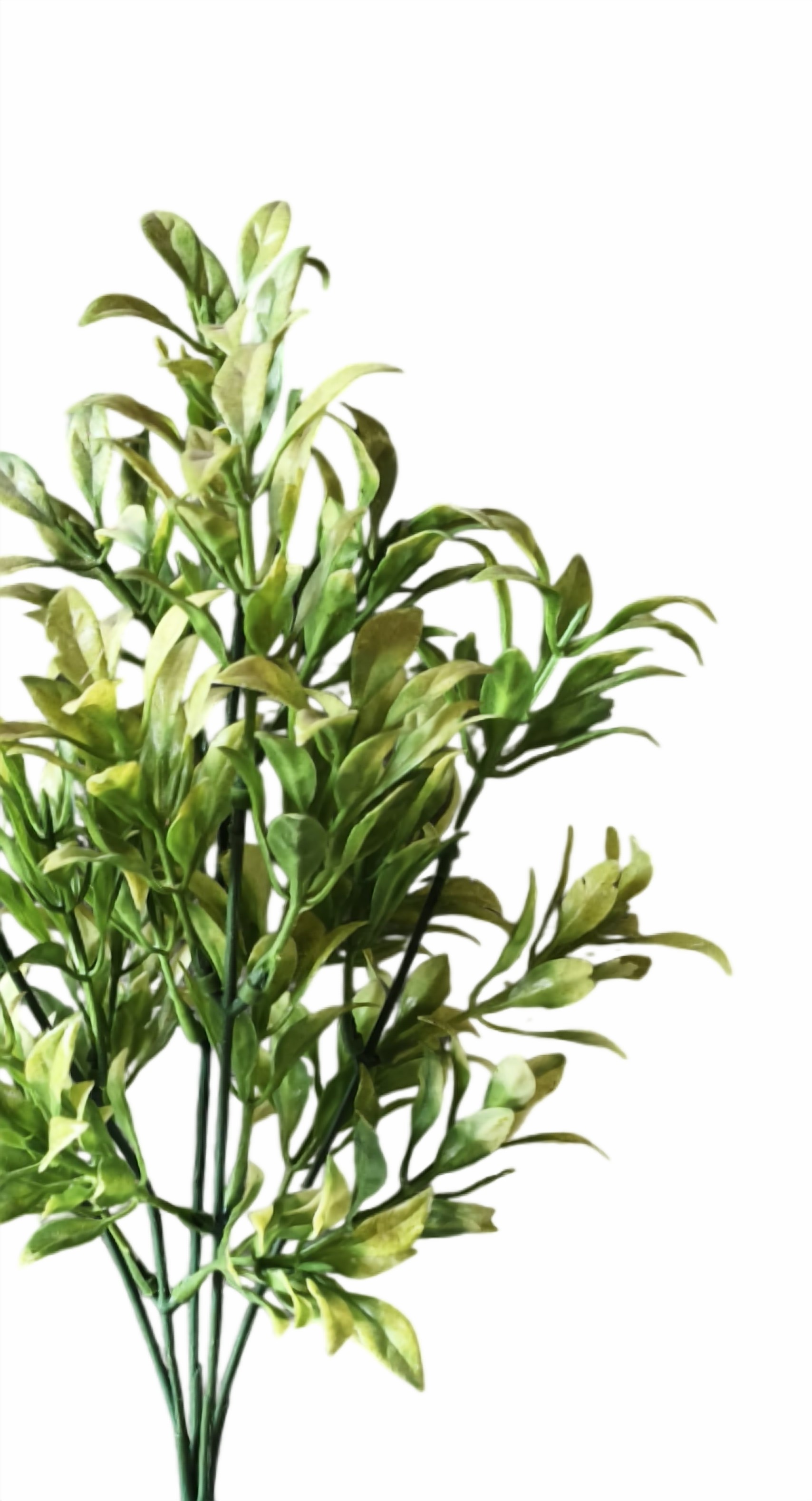 Artificial Plastic Bunch (Light Green)